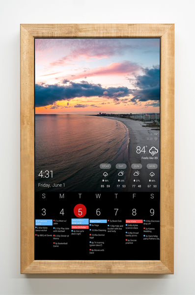 BlumSafe Wall Safe Concealment Display